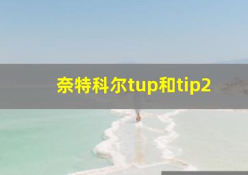 奈特科尔tup和tip2