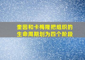 奎因和卡梅隆把组织的生命周期划为四个阶段