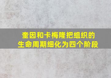 奎因和卡梅隆把组织的生命周期细化为四个阶段