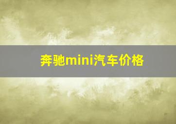 奔驰mini汽车价格