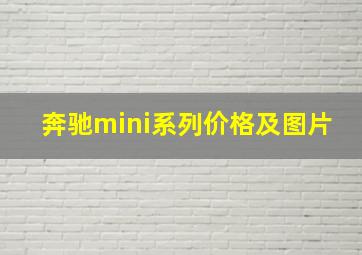 奔驰mini系列价格及图片