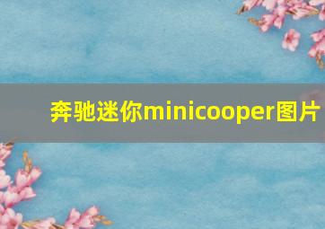 奔驰迷你minicooper图片