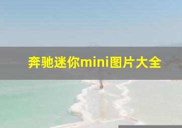 奔驰迷你mini图片大全