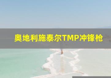 奥地利施泰尔TMP冲锋枪