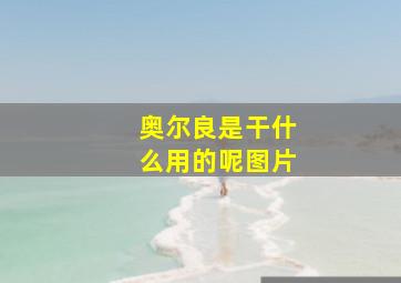 奥尔良是干什么用的呢图片