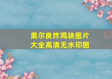 奥尔良炸鸡块图片大全高清无水印图