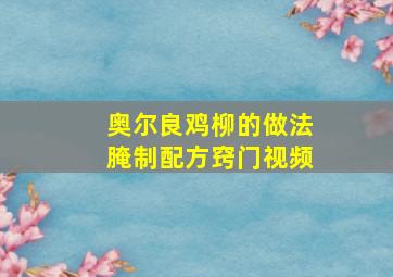 奥尔良鸡柳的做法腌制配方窍门视频