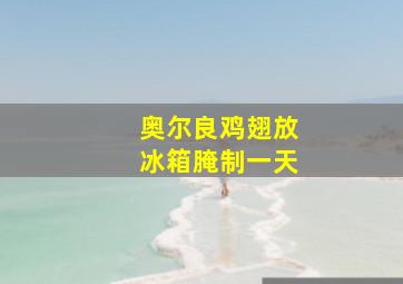 奥尔良鸡翅放冰箱腌制一天