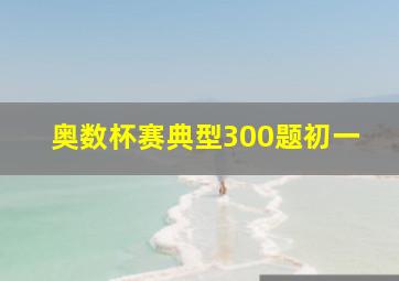 奥数杯赛典型300题初一