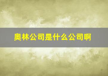 奥林公司是什么公司啊