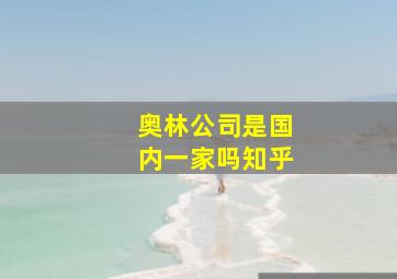 奥林公司是国内一家吗知乎