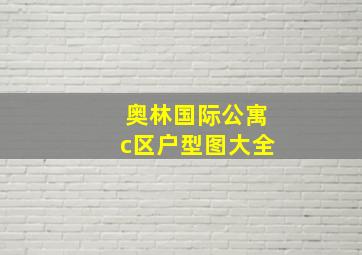 奥林国际公寓c区户型图大全