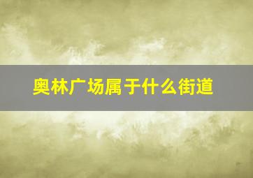 奥林广场属于什么街道