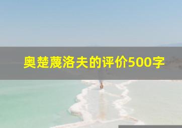 奥楚蔑洛夫的评价500字