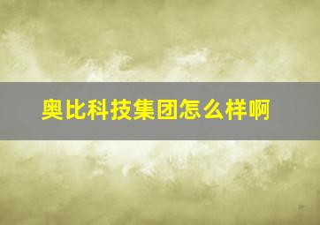 奥比科技集团怎么样啊