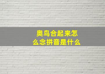 奥鸟合起来怎么念拼音是什么