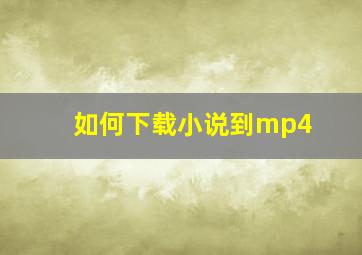 如何下载小说到mp4