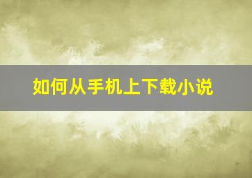 如何从手机上下载小说