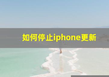 如何停止iphone更新