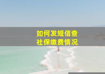 如何发短信查社保缴费情况