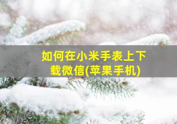 如何在小米手表上下载微信(苹果手机)