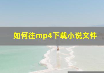 如何往mp4下载小说文件