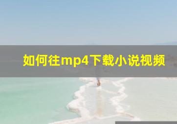 如何往mp4下载小说视频