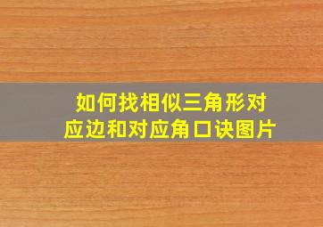 如何找相似三角形对应边和对应角口诀图片