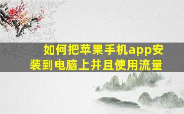 如何把苹果手机app安装到电脑上并且使用流量