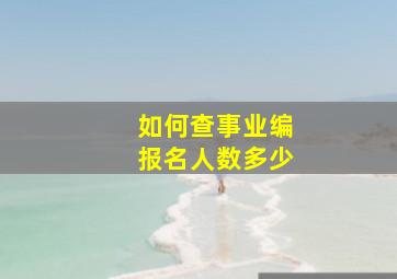 如何查事业编报名人数多少