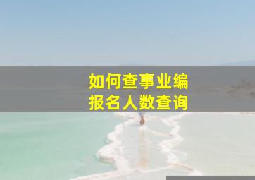 如何查事业编报名人数查询