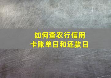 如何查农行信用卡账单日和还款日