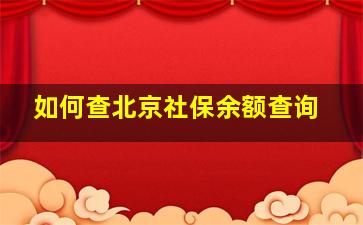 如何查北京社保余额查询