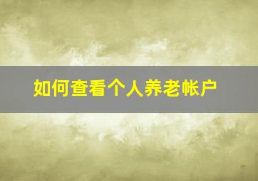 如何查看个人养老帐户