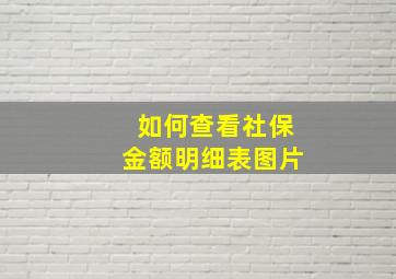 如何查看社保金额明细表图片