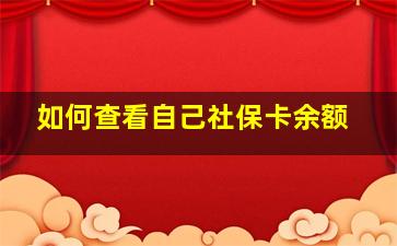 如何查看自己社保卡余额