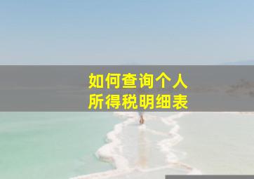 如何查询个人所得税明细表