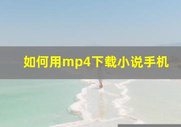 如何用mp4下载小说手机