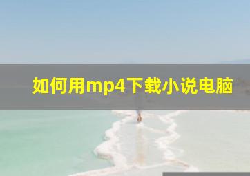 如何用mp4下载小说电脑