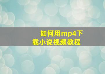 如何用mp4下载小说视频教程