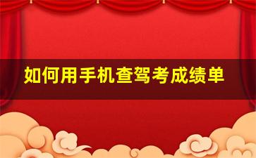 如何用手机查驾考成绩单