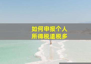 如何申报个人所得税退税多