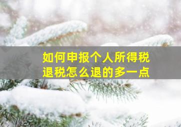 如何申报个人所得税退税怎么退的多一点