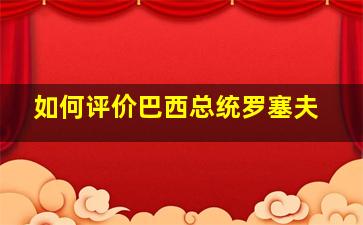 如何评价巴西总统罗塞夫