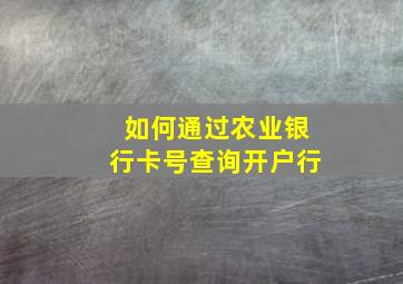 如何通过农业银行卡号查询开户行