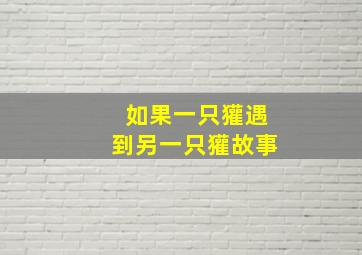 如果一只獾遇到另一只獾故事