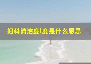 妇科清洁度l度是什么意思