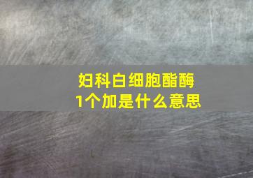 妇科白细胞酯酶1个加是什么意思