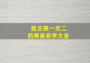 姓王独一无二的男孩名字大全