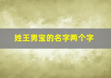 姓王男宝的名字两个字